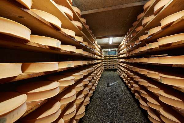 Fromage d'abondance